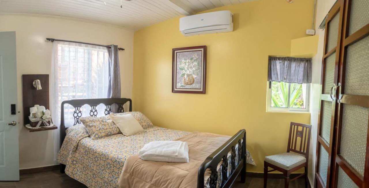 Alice Y Juancito Boutique Hotel Алахуэла Экстерьер фото